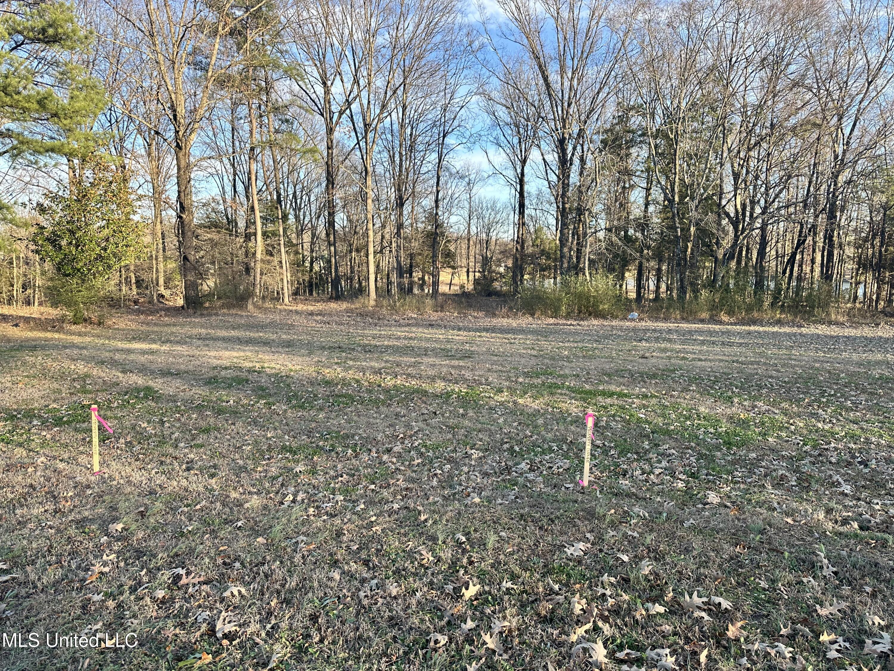 Douglas Road Hernando, MS 38632 - Photo 4 of 5 IMG_4061