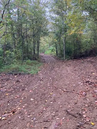 $34,125 | 196 Madison Cr, Fredericktown, MO 63645