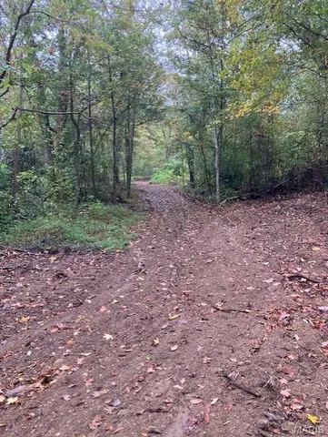 $34,125 | 196 Madison Cr, Fredericktown, MO 63645