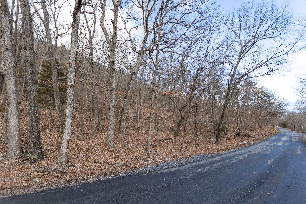 Off Fort Valley Road Luray, VA 22835 - Photo 9 of 11 Gallery Image 9