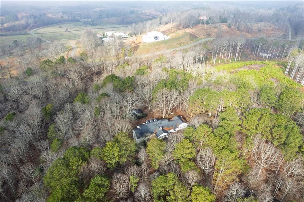 259 Holley Heights Jasper, GA 30143 - Photo 45 of 53