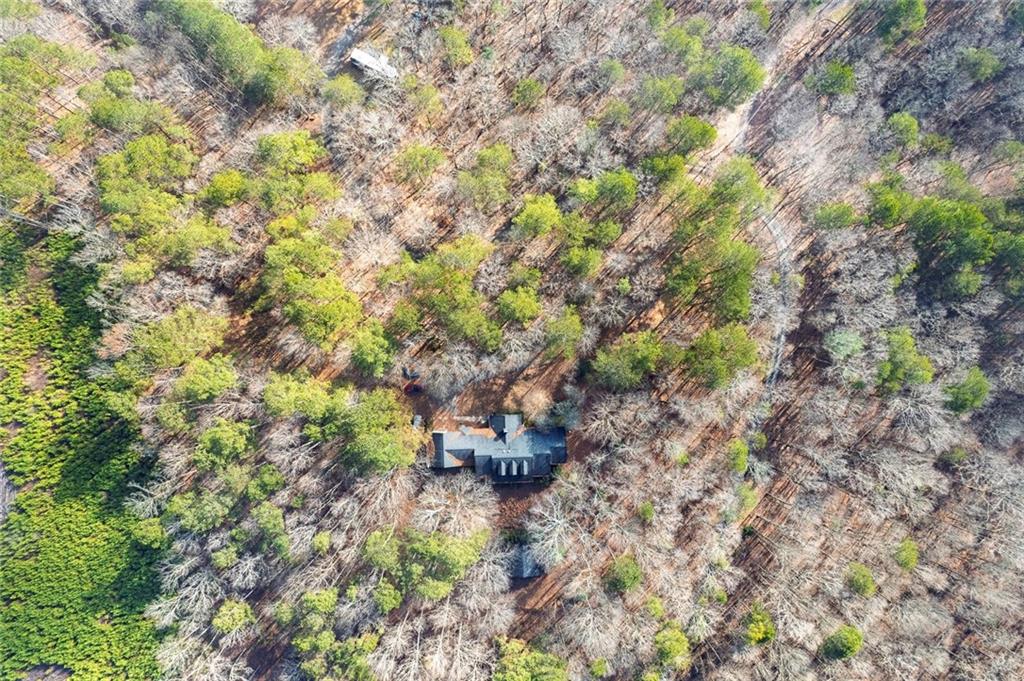 259 Holley Heights Jasper, GA 30143 - Photo 47 of 53 a backyard of a house with a yard and outdoor seating