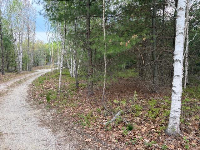 Lot #8 Thayer Road Ellsworth, ME 04605 - Photo 2 of 4 IMG_6874