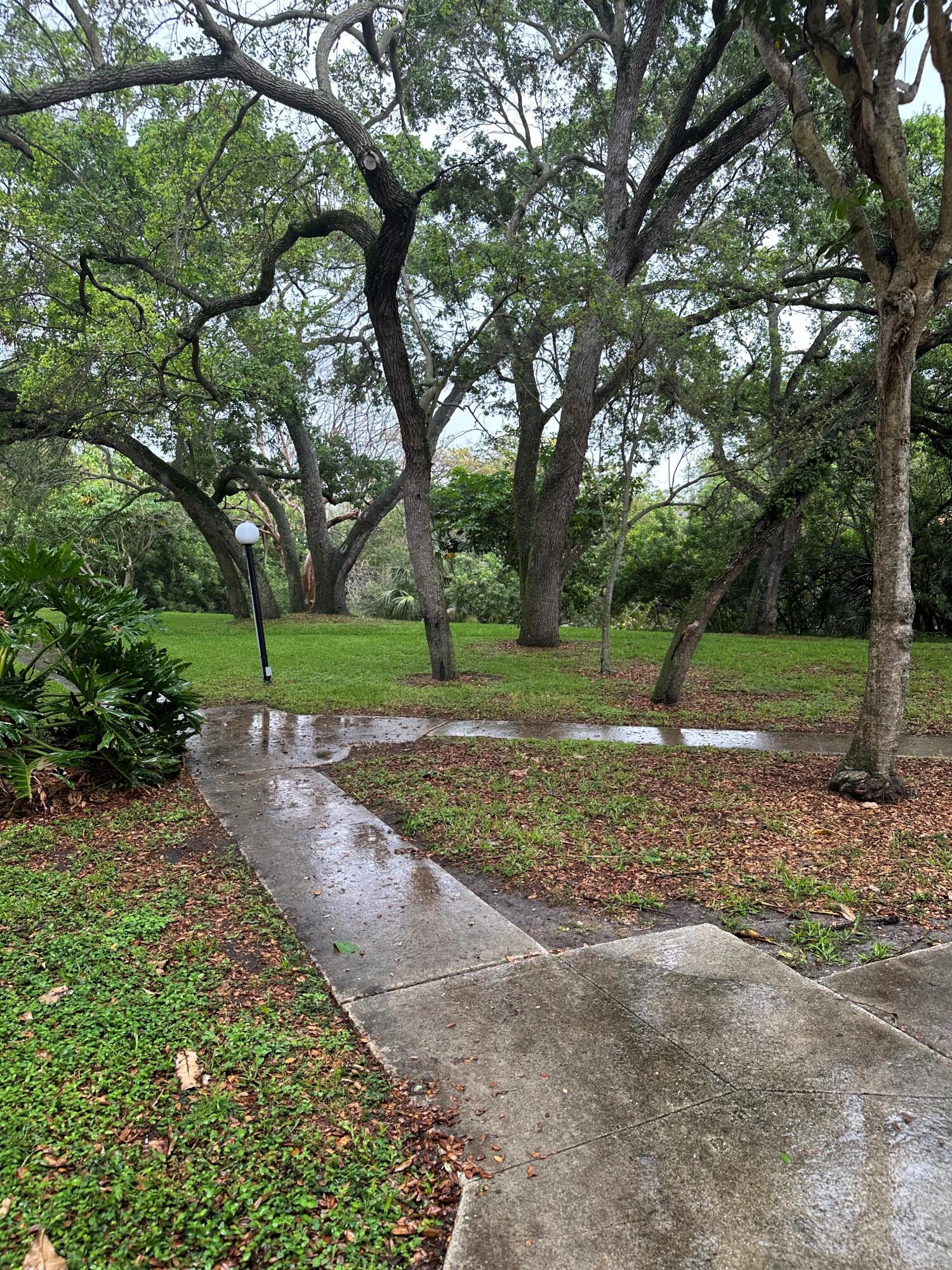 602 Northwest 13th Street, Unit 150 Boca Raton, FL 33486 - Photo 11 of 12 a view of a park with large trees