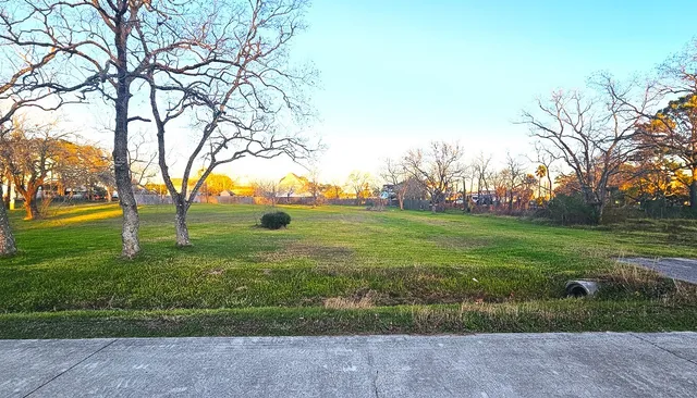 a view of a field with large trees
