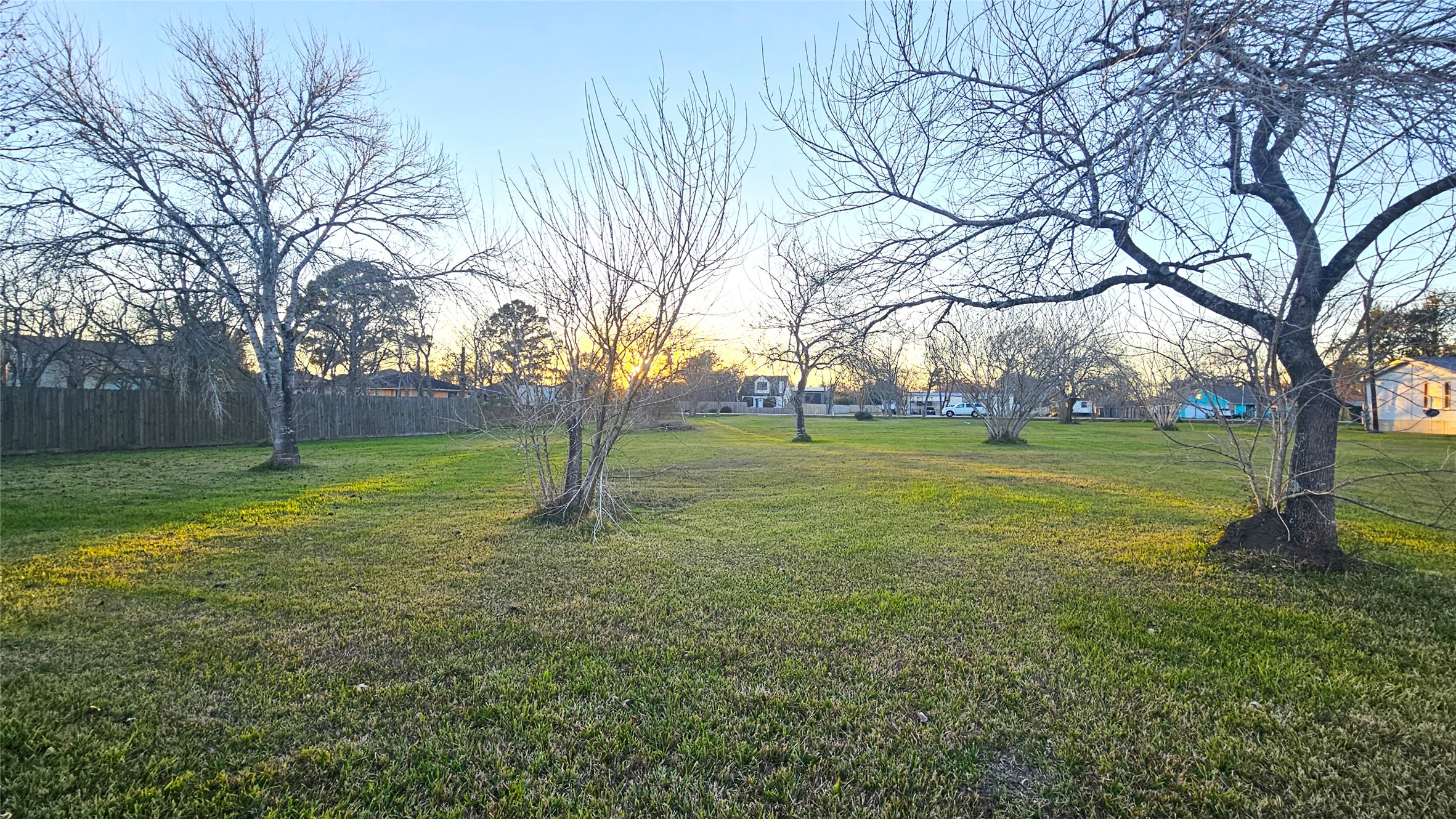4131 Grand Boulevard Dickinson, TX 77539 - Photo 4 of 10 a view of a tree in front of a house