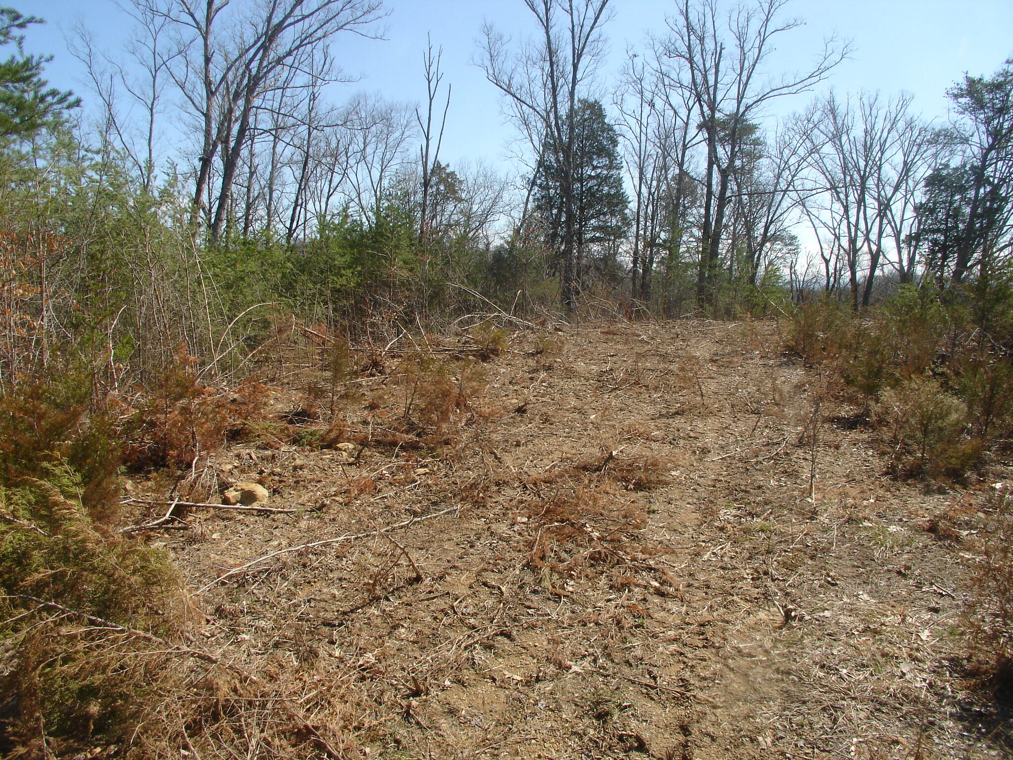 Whites School Road Sevierville, TN 37876 - Photo 2 of 9 DSC01890