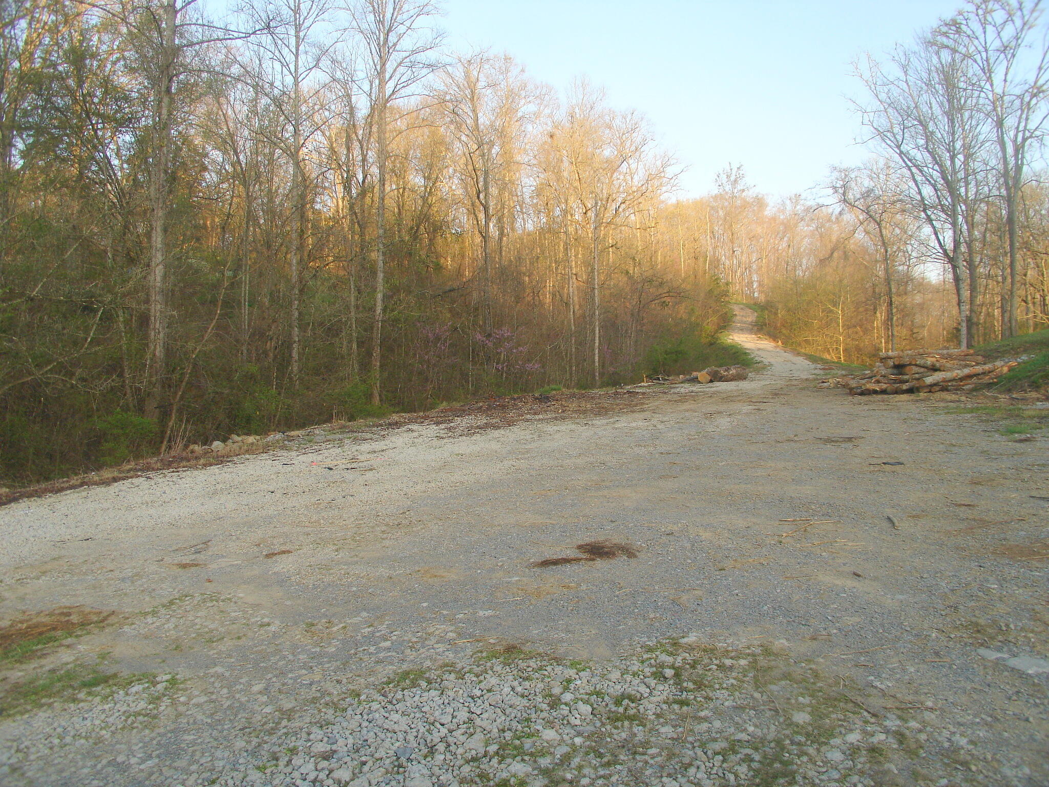 Whites School Road Sevierville, TN 37876 - Photo 3 of 9 DSC01952