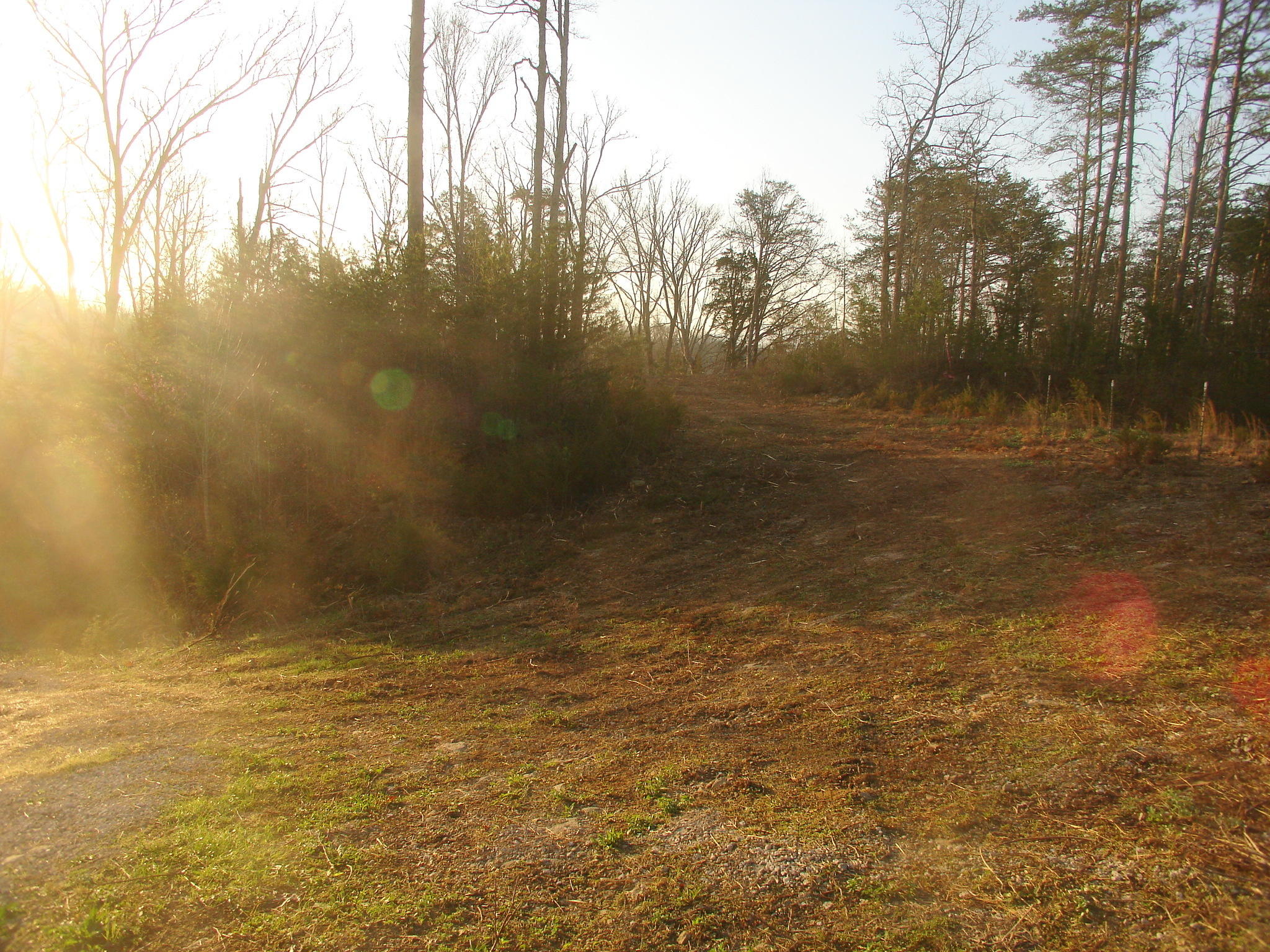 Whites School Road Sevierville, TN 37876 - Photo 6 of 9 DSC01957