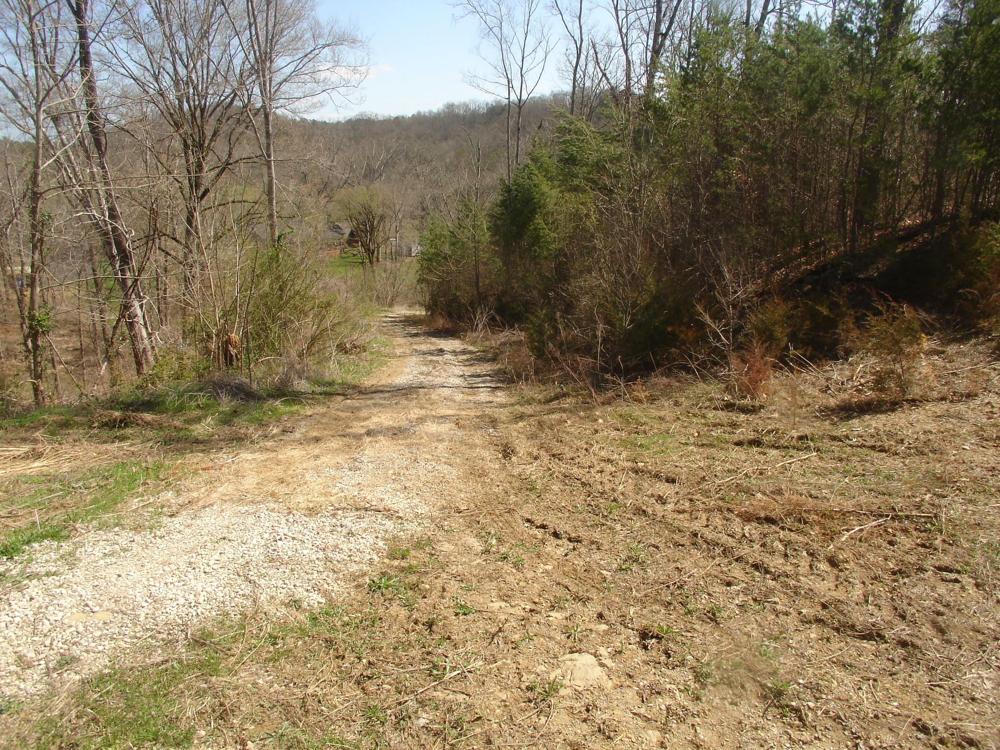 Whites School Road Sevierville, TN 37876 - Photo 9 of 9 DSC01892