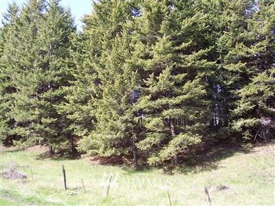 -lot R Chesaw Road Oroville, WA 98844 - Photo 1 of 1 Gallery Image 1