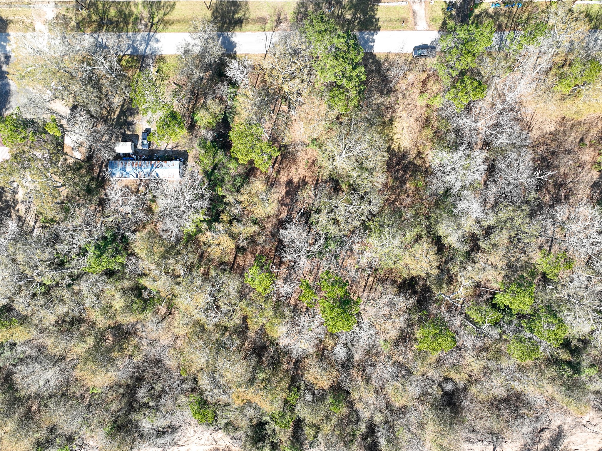 0 Carol Lane Splendora, TX 77372 - Photo 11 of 14