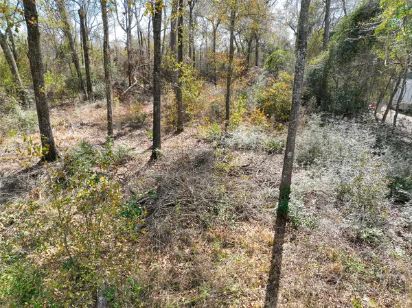 $68,000 | 0 Carol Lane, Splendora, TX 77372