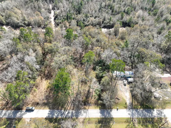 a view of a tree with a yard