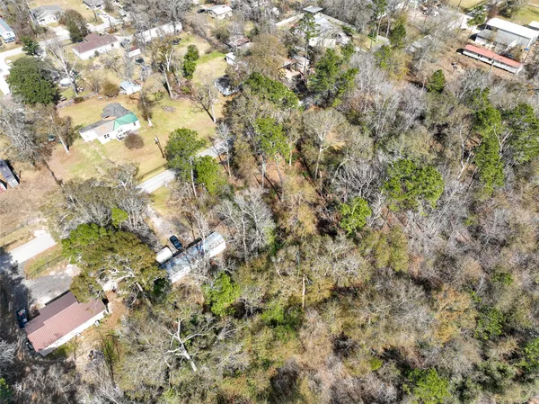 a view of a tree in a forest