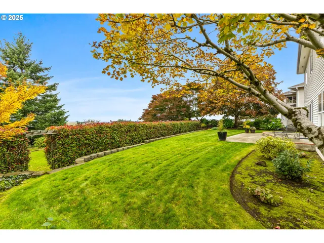 a view of a yard with an trees