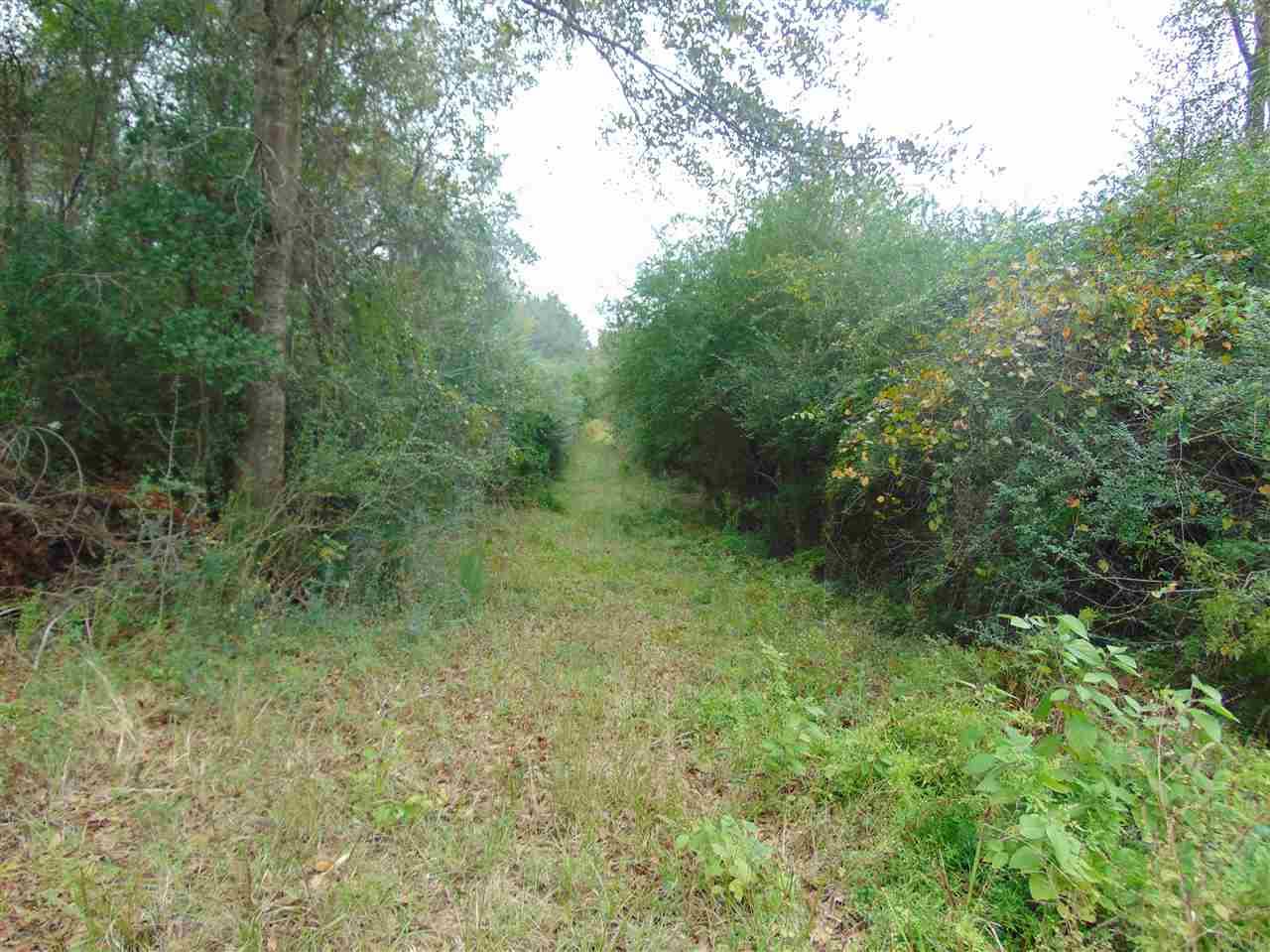 9200 Gibson Road Molino, FL 32577 - Photo 11 of 14 Gallery Image 11