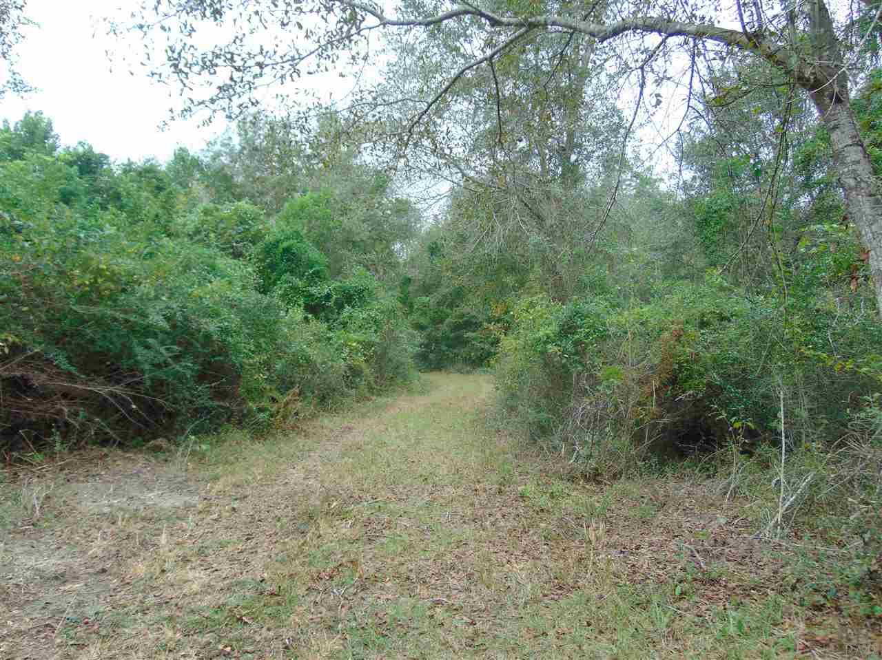 9200 Gibson Road Molino, FL 32577 - Photo 12 of 14 Gallery Image 12