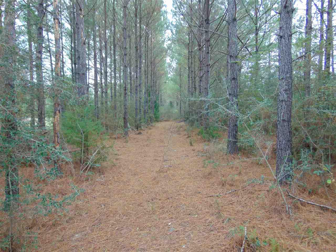9200 Gibson Road Molino, FL 32577 - Photo 13 of 14 Gallery Image 13