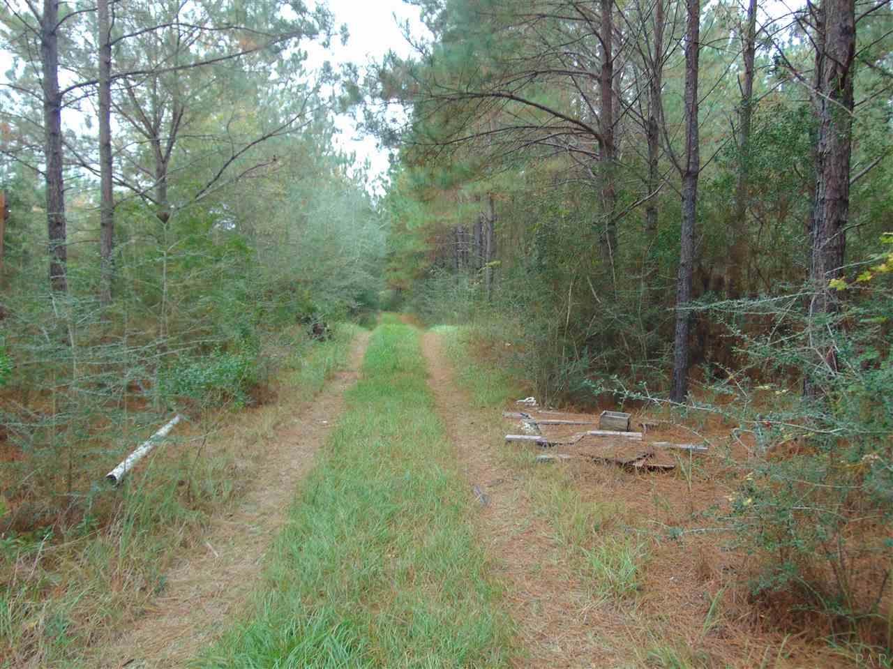 9200 Gibson Road Molino, FL 32577 - Photo 14 of 14 Gallery Image 14