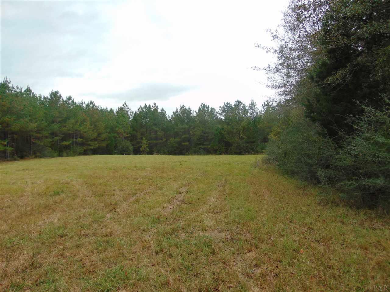 9200 Gibson Road Molino, FL 32577 - Photo 3 of 14 Gallery Image 3