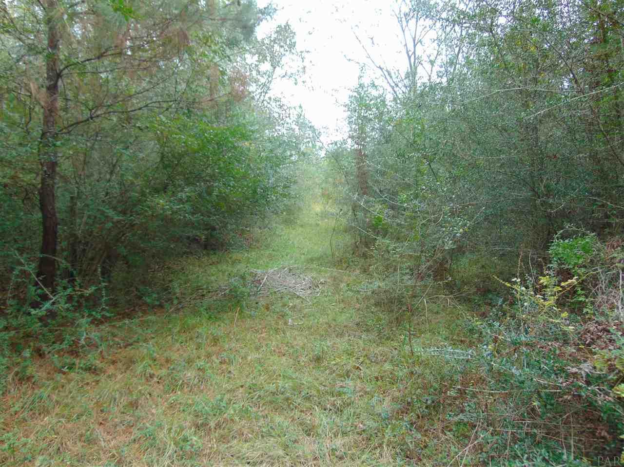 9200 Gibson Road Molino, FL 32577 - Photo 8 of 14 Gallery Image 8
