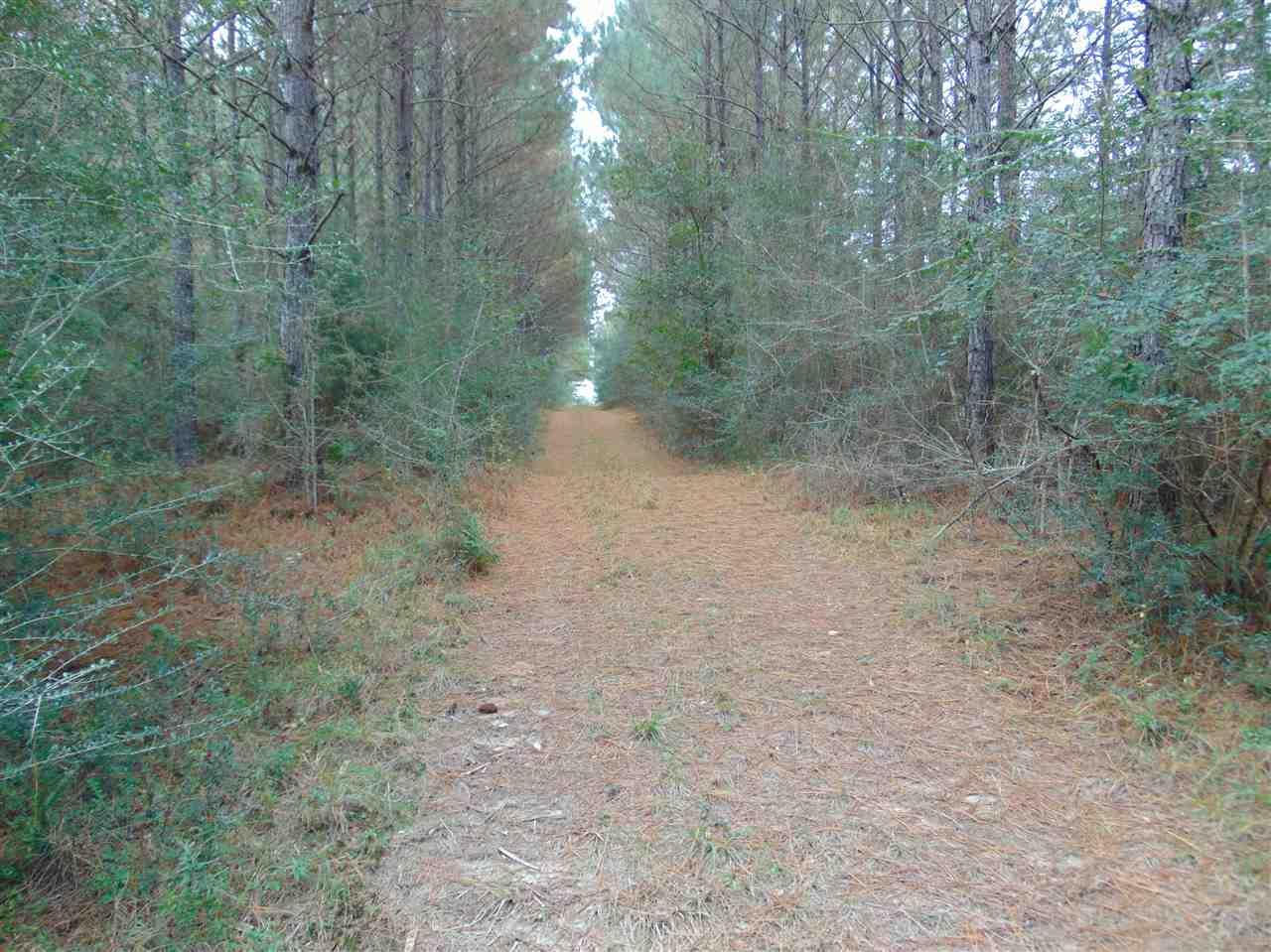 9200 Gibson Road Molino, FL 32577 - Photo 9 of 14 Gallery Image 9