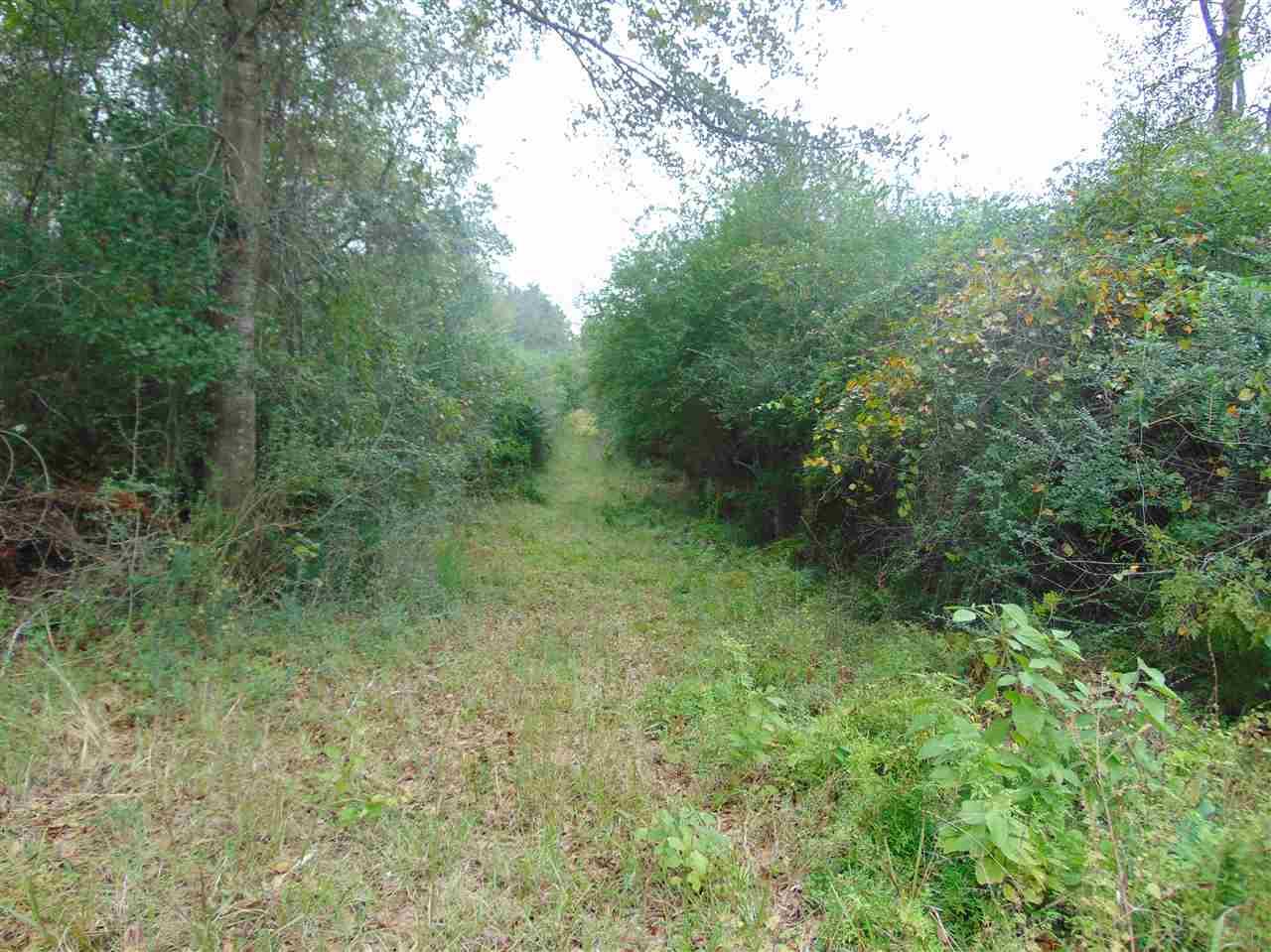 9200 Gibson Road Molino, FL 32577 - Photo 10 of 14 Gallery Image 10