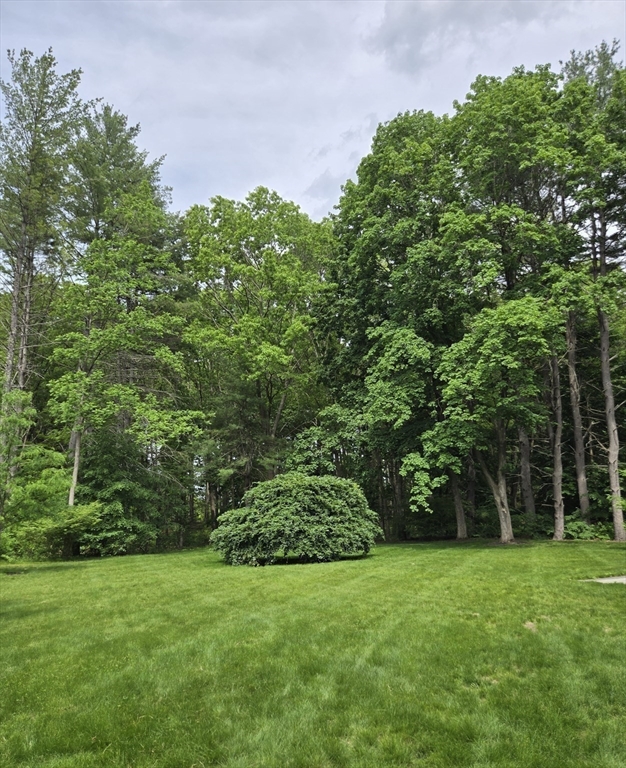135 Williams Road Concord, MA 01742 - Photo 2 of 26