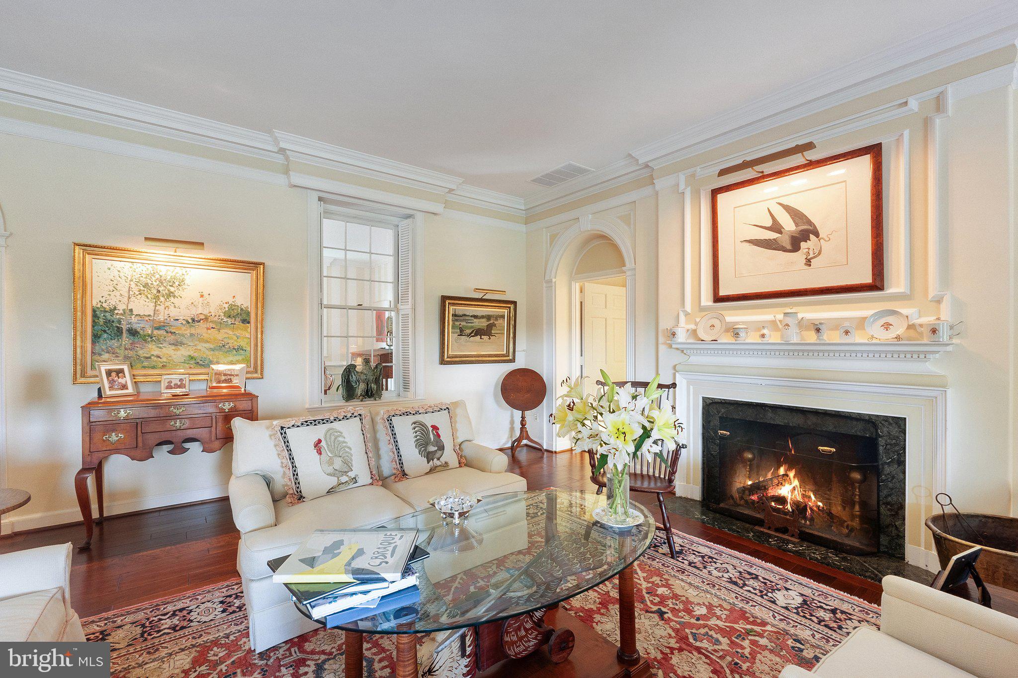 2573 Zulla Road The Plains, VA 20198 - Photo 11 of 81 a living room with furniture a fireplace and a large window