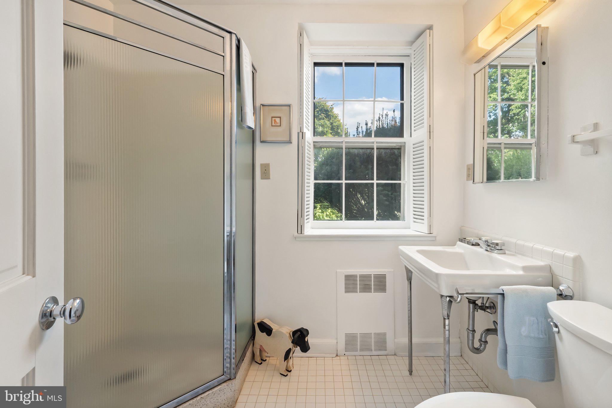 2573 Zulla Road The Plains, VA 20198 - Photo 42 of 81 a bathroom with a sink toilet and shower