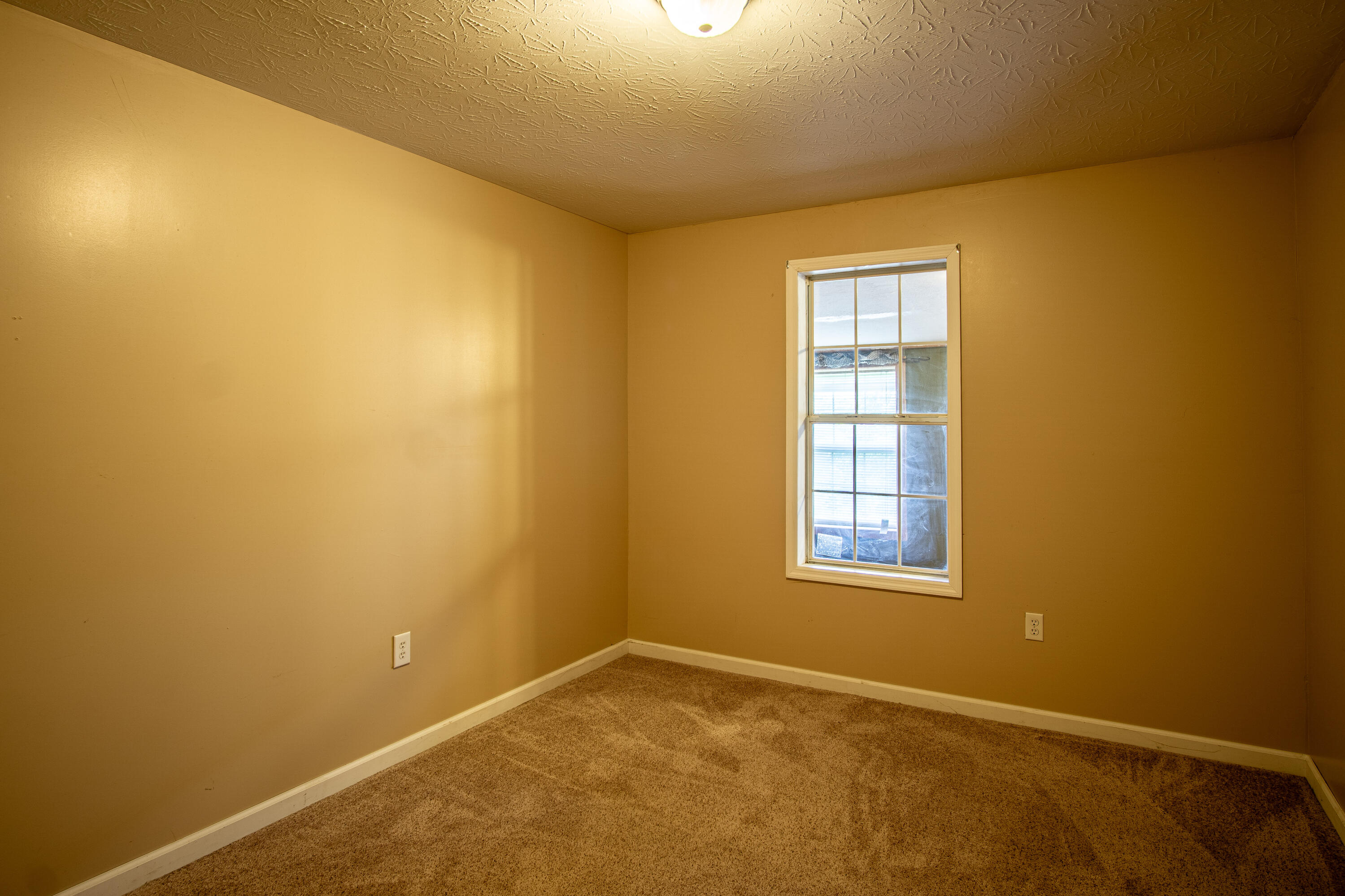 800 Pond Lick Road Annville, KY 40402 - Photo 17 of 46 DSC05384-HDR