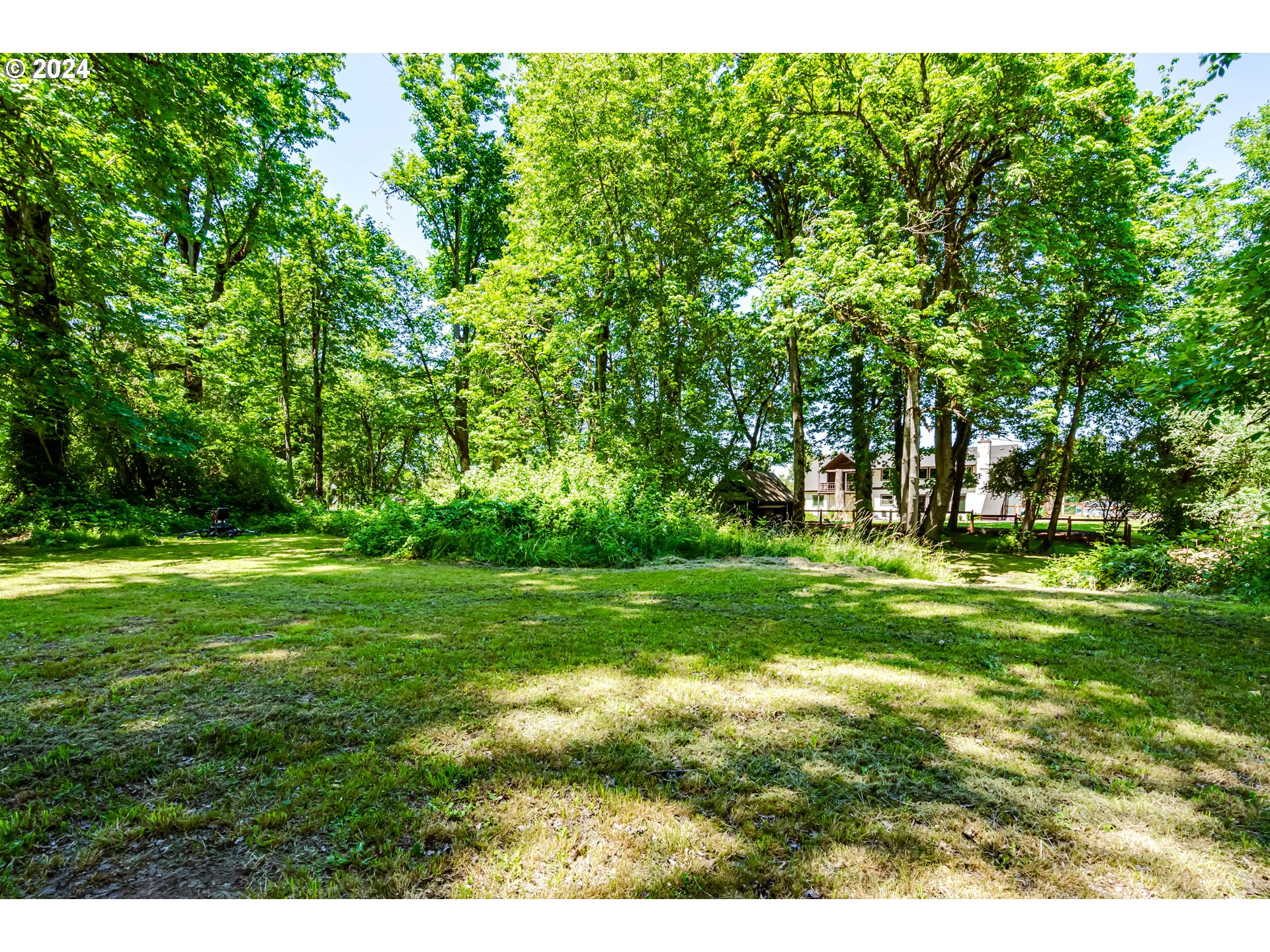 37198 Wheeler Road Pleasant Hill, OR 97455 - Photo 8 of 46 a view of field with trees in the background