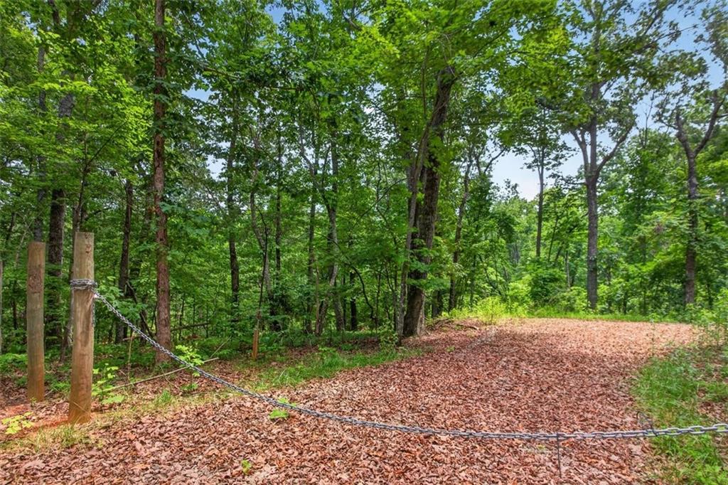 2022 Pleasant Union Road Canton, GA 30114 - Photo 8 of 17