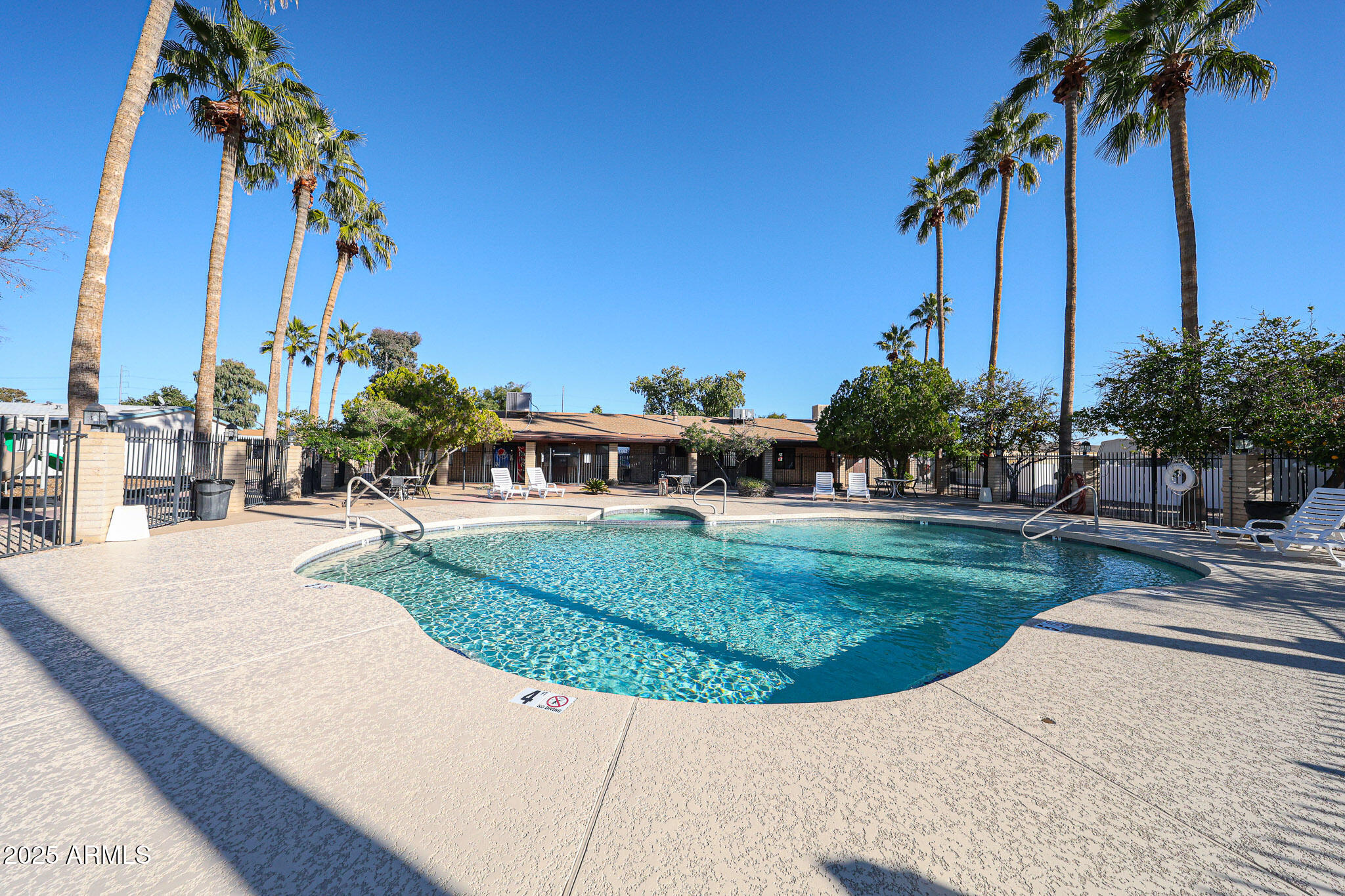 19602 North 32nd Street, Unit 32 Phoenix, AZ 85050 - Photo 36 of 37 an outdoor space with lots of palm trees
