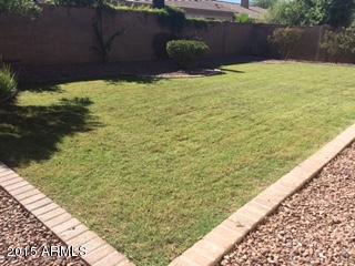 4353 East Briles Road Phoenix, AZ 85050 - Photo 28 of 30 Beautiful green lawn!