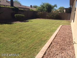 4353 East Briles Road Phoenix, AZ 85050 - Photo 29 of 30 Perfect for playing!