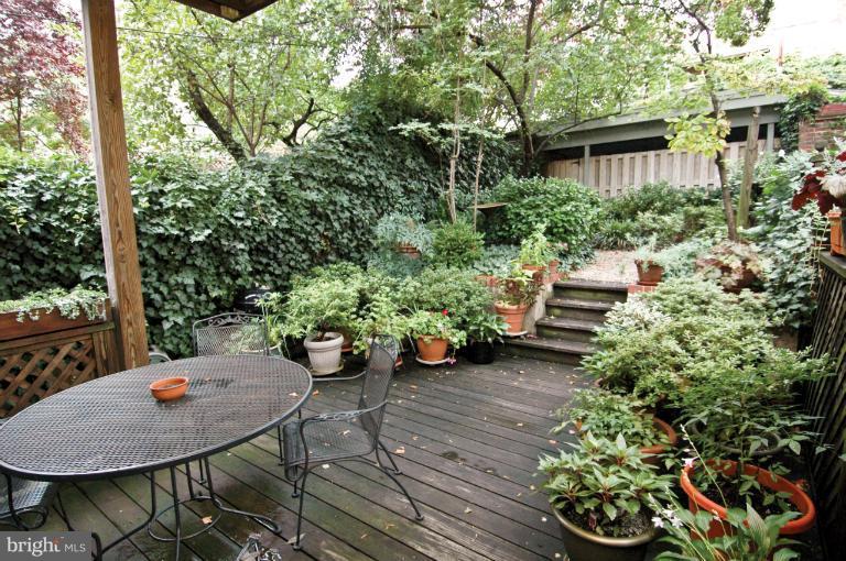 1847 California Street Northwest Washington, DC 20009 - Photo 3 of 30 Back Yard