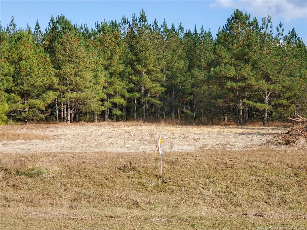 949 Pendergrass Road Raeford, NC 28376 - Photo 2 of 2 a backyard of a house with lots of green space