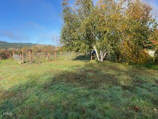 90 Gibson Lane Logsden, OR 97357 - Photo 9 of 21 Side yard and garden area