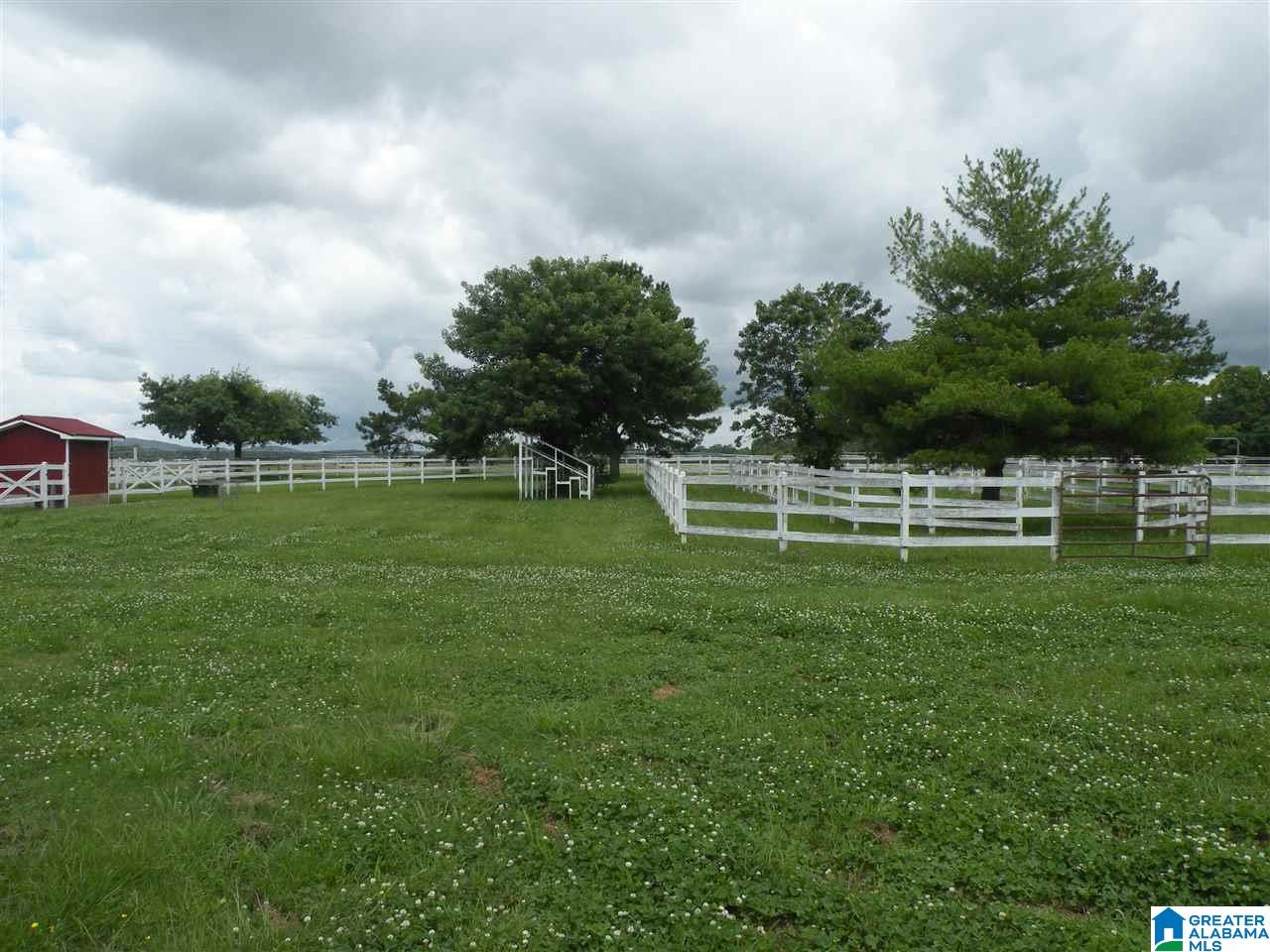 2593 Pecan Road Sylacauga, AL 35150 - Photo 33 of 48