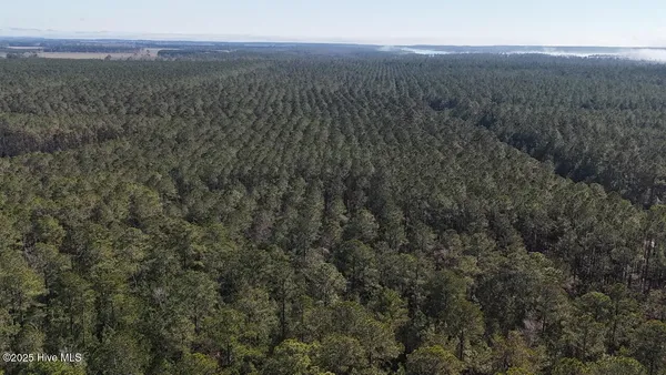 $399,000 | Lot 7 Sandy Point Road, Scranton, NC 27875