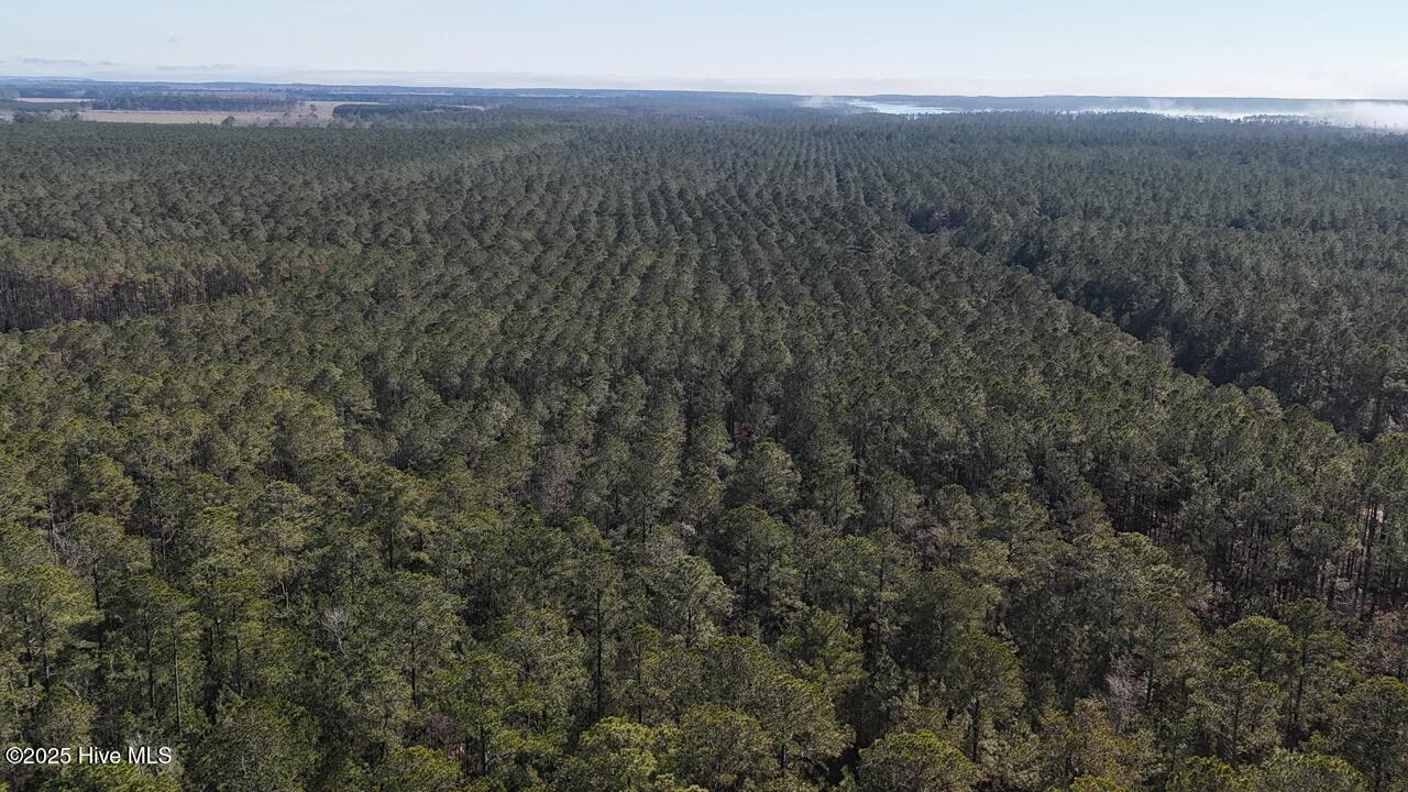 Lot 7 Sandy Point Road Scranton, NC 27875 - Photo 11 of 53 DJI_20250203122922_0256_D Large