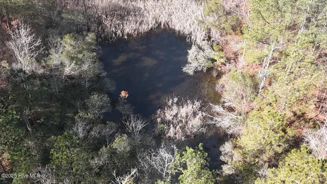 $399,000 | Lot 7 Sandy Point Road, Scranton, NC 27875