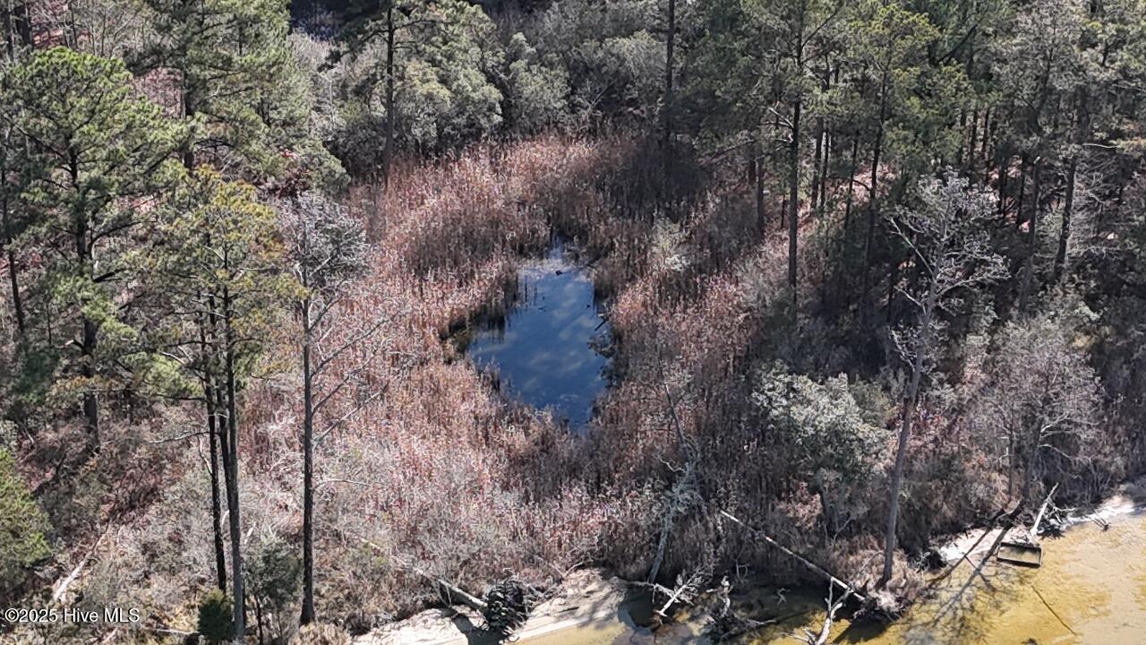 Lot 7 Sandy Point Road Scranton, NC 27875 - Photo 15 of 53 DJI_20250203122704_0252_D Large