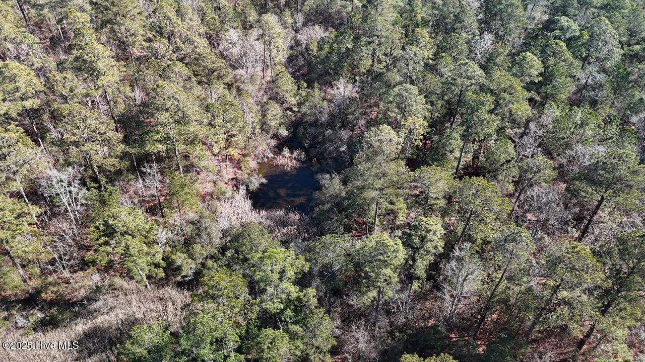 Lot 7 Sandy Point Road Scranton, NC 27875 - Photo 16 of 53 DJI_20250203122819_0254_D Large