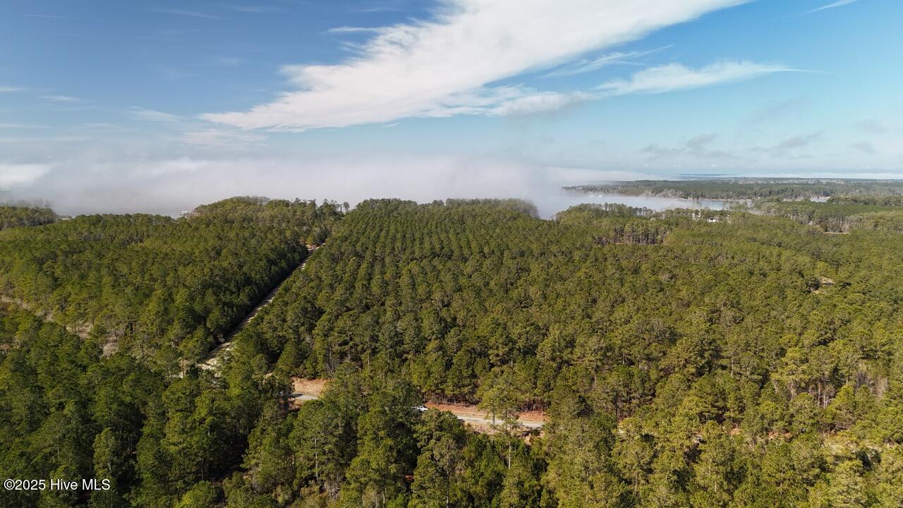 Lot 7 Sandy Point Road Scranton, NC 27875 - Photo 2 of 53 DJI_20250203121601_0220_D Large