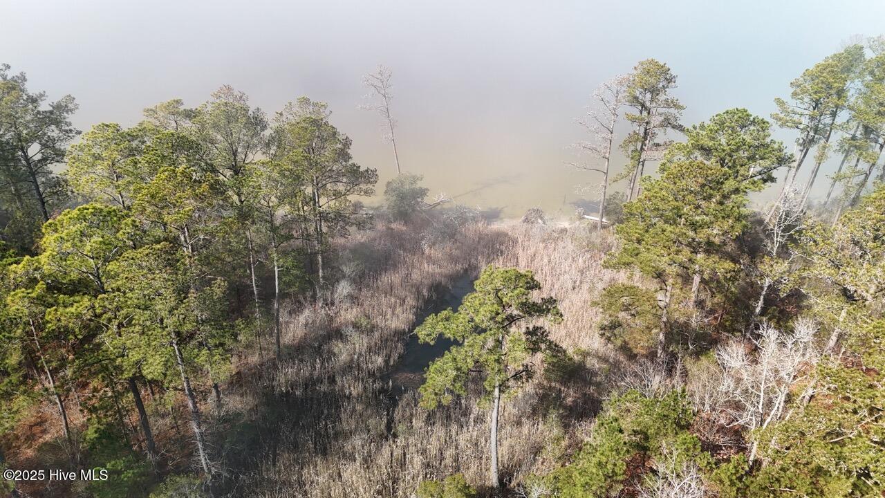 Lot 7 Sandy Point Road Scranton, NC 27875 - Photo 25 of 53 DJI_20250203121932_0230_D Large