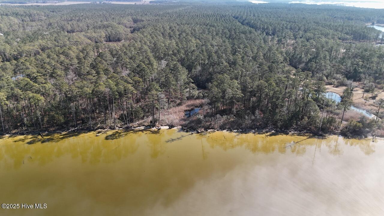 Lot 7 Sandy Point Road Scranton, NC 27875 - Photo 26 of 53 DJI_20250203122417_0248_D Large