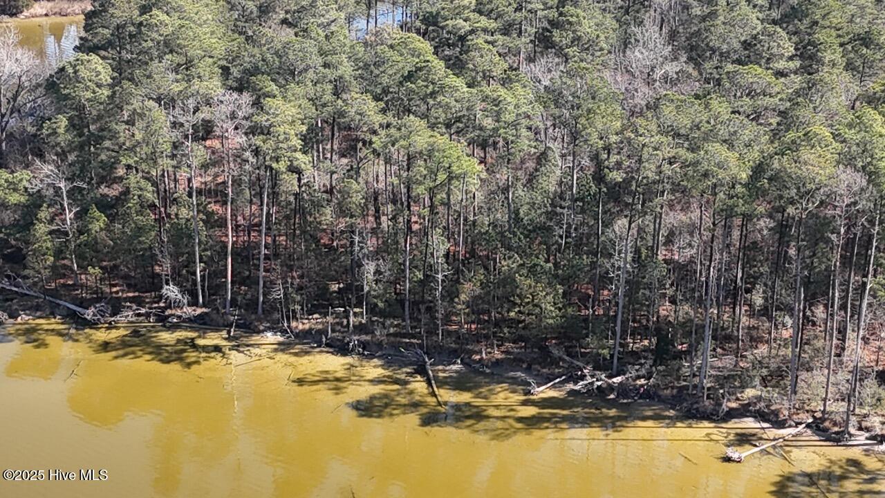Lot 7 Sandy Point Road Scranton, NC 27875 - Photo 29 of 53 DJI_20250203122605_0251_D Large